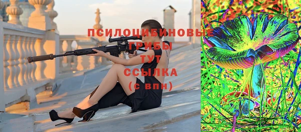 шишки Армянск
