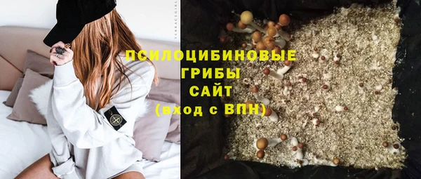 крисы Сафоново