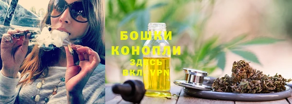 шишки Армянск