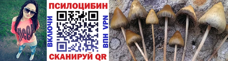 Галлюциногенные грибы Psilocybine cubensis  мориарти формула  Жирновск 