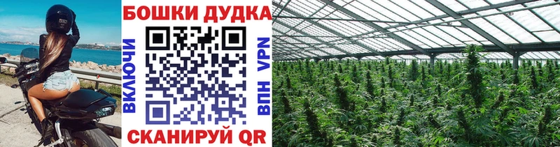 Каннабис MAZAR  купить наркоту  Жирновск 